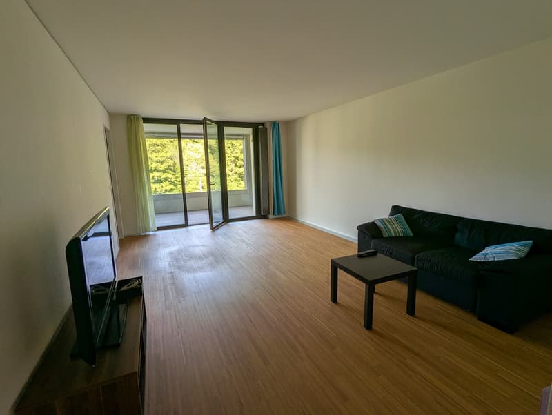 2 ½ rooms apartment, 8041 Zurich (5)