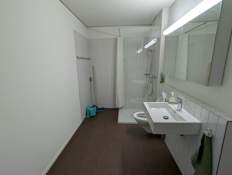 2 ½ rooms apartment, 8041 Zurich (10)