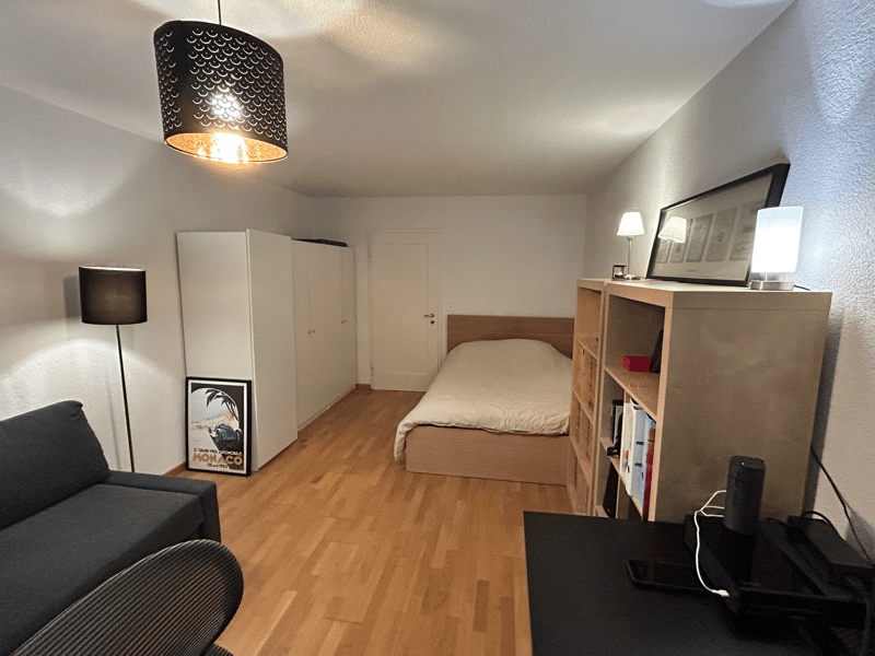 Möbliertes 35 m2 Studio in Zürich 8055 - zentral und perfekt angebunden (2)