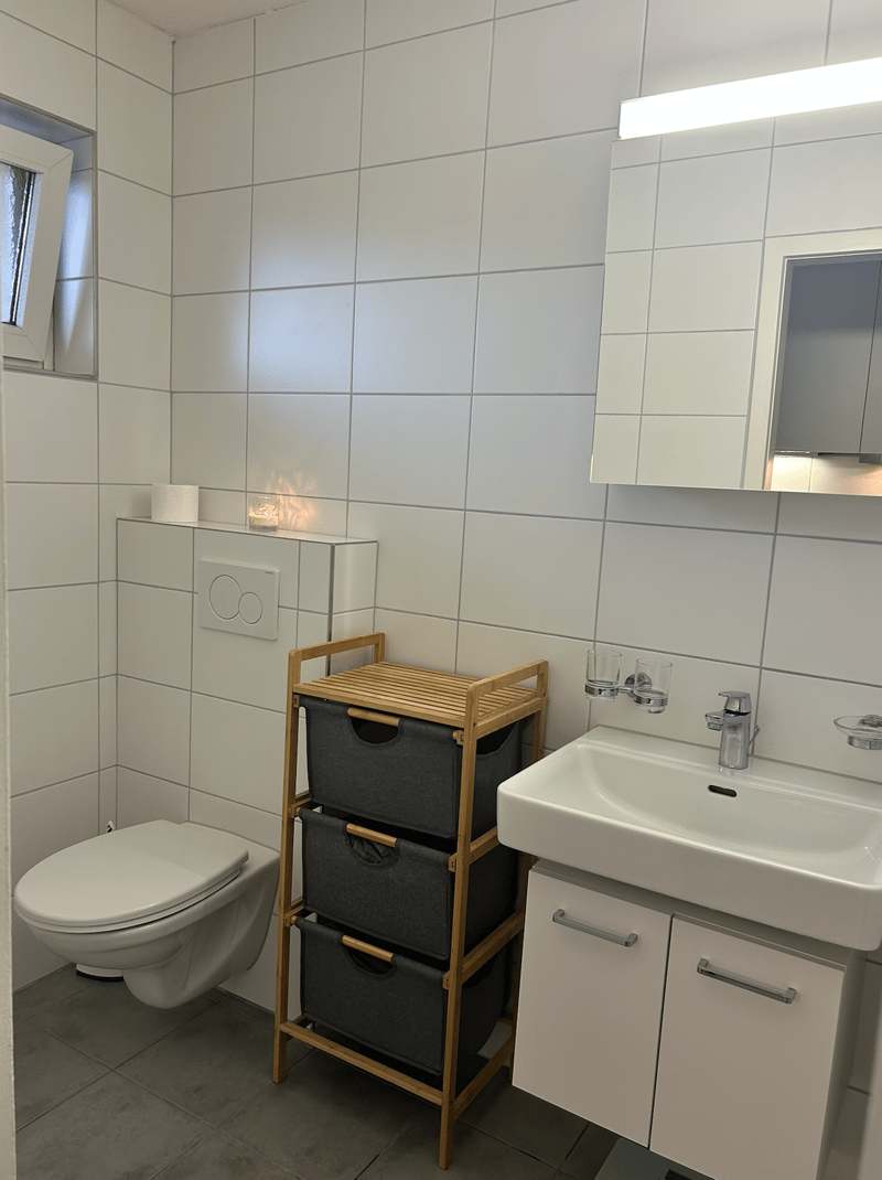 Möbliertes 35 m2 Studio in Zürich 8055 - zentral und perfekt angebunden (4)