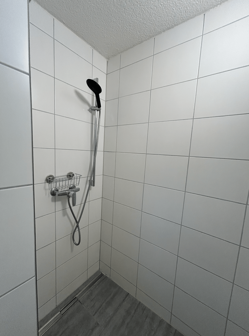 Möbliertes 35 m2 Studio in Zürich 8055 - zentral und perfekt angebunden (5)
