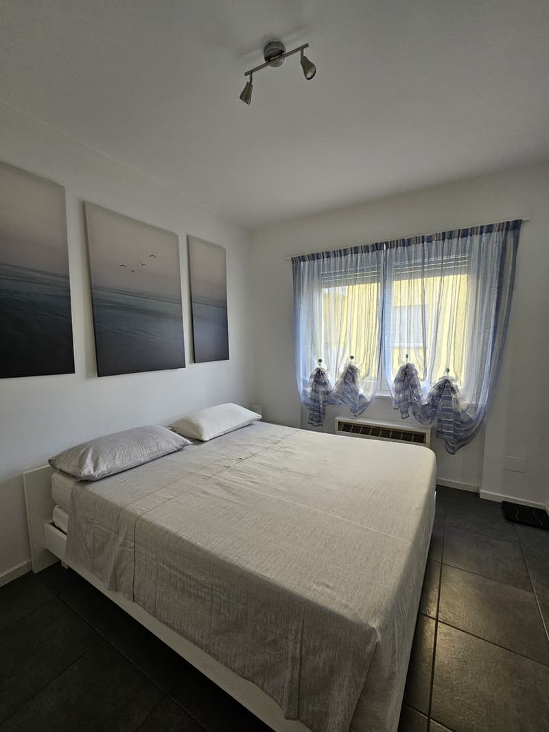 Luminoso e accogliente 2.5 locali (2)