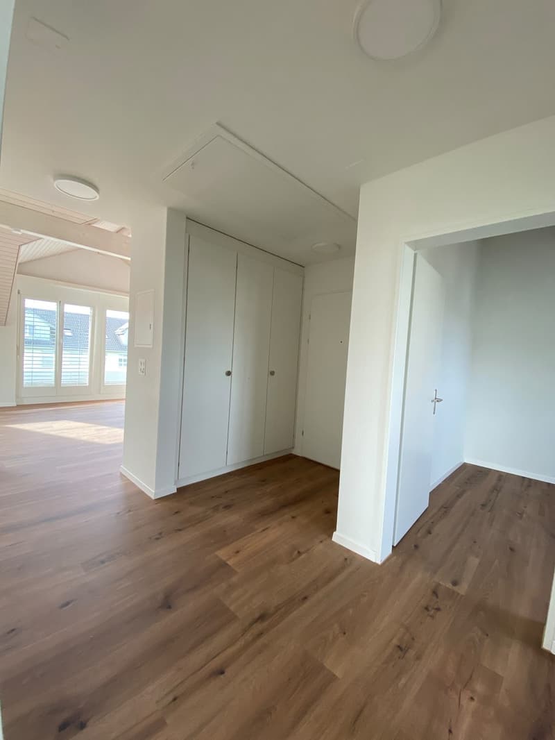 Schöne Dachwohnung zu vermieten (7)