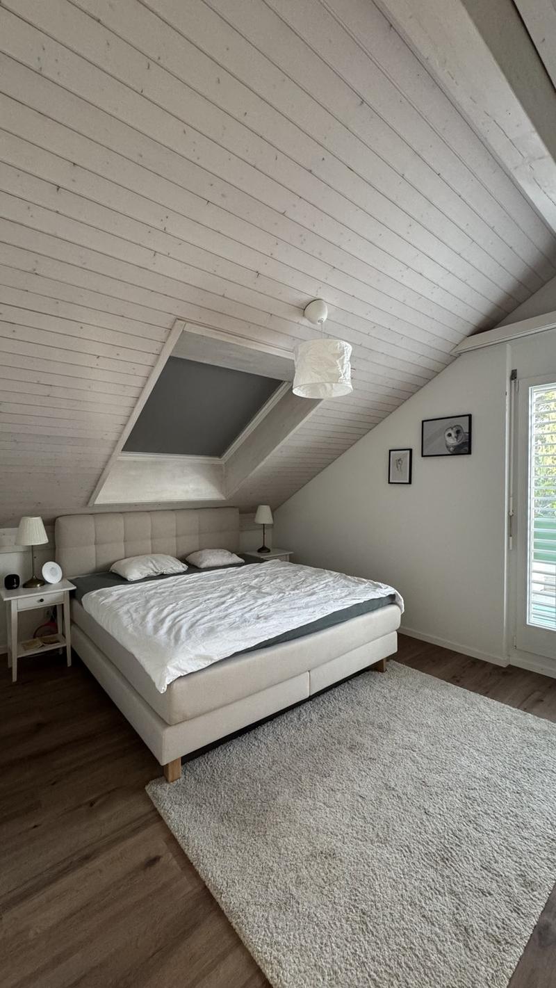 Schöne Dachwohnung zu vermieten (3)