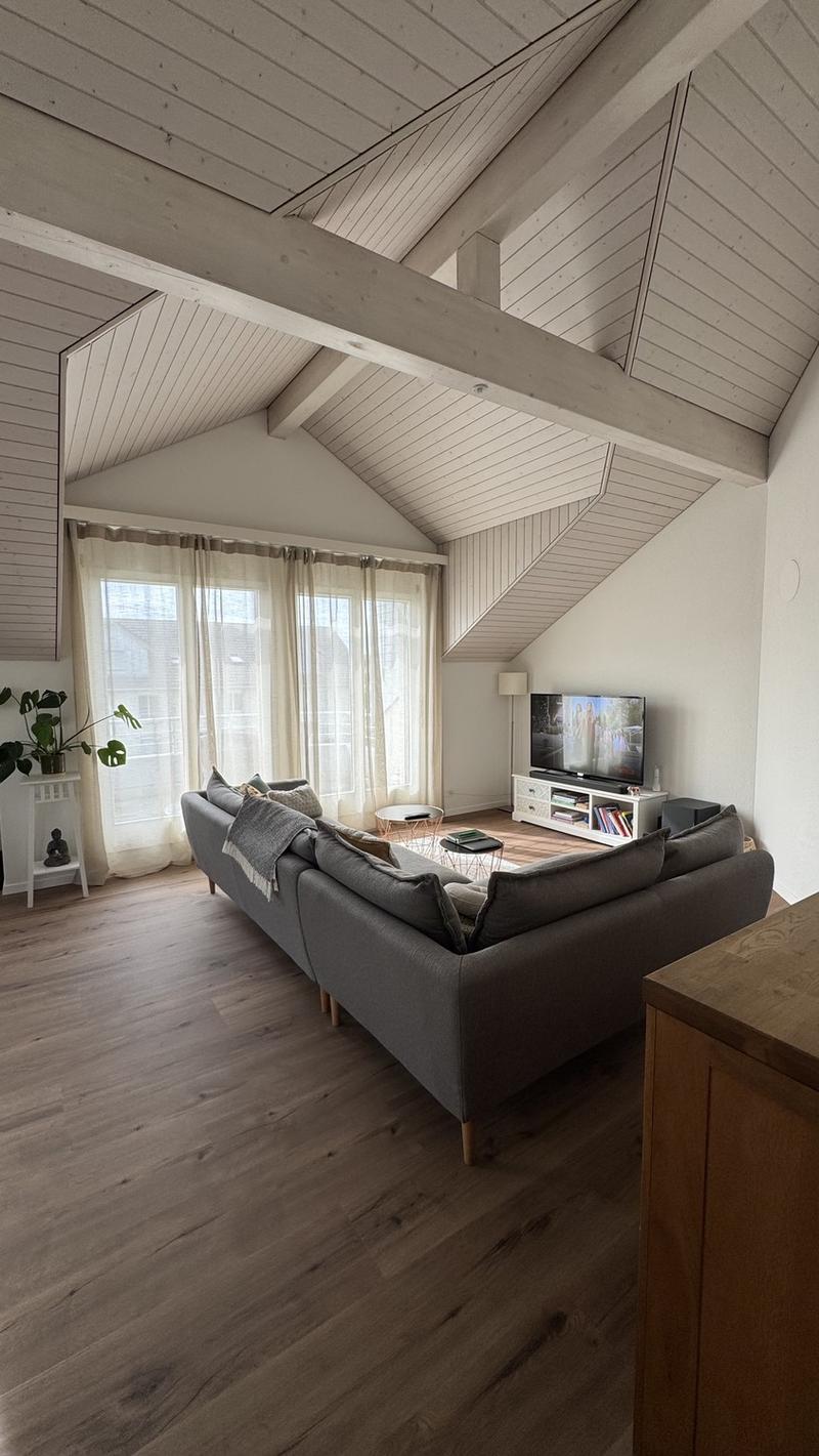Schöne Dachwohnung zu vermieten (1)