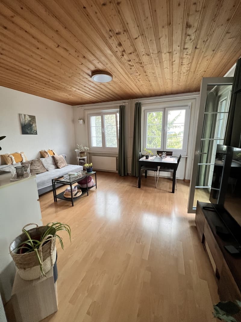 Helles WG-Zimmer 3,5-Zimmer Wohnung in Schwamendingen (3)