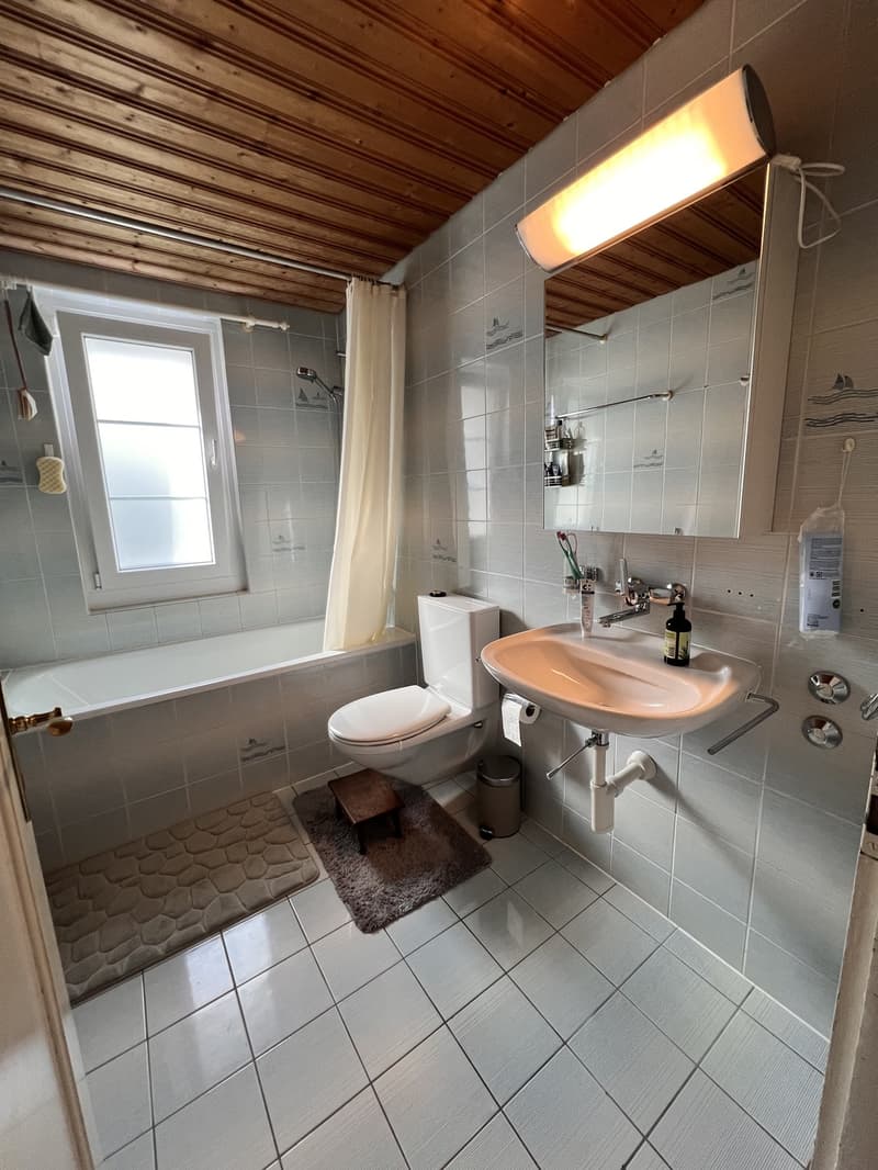 Helles WG-Zimmer 3,5-Zimmer Wohnung in Schwamendingen (6)