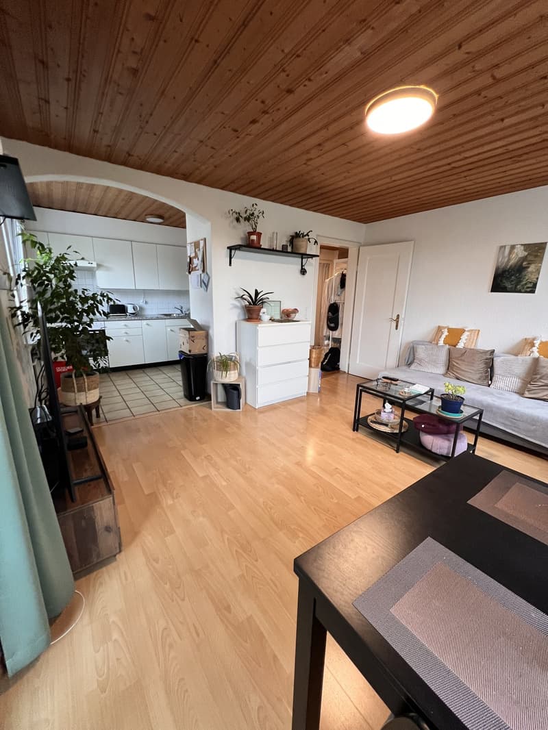 Helles WG-Zimmer 3,5-Zimmer Wohnung in Schwamendingen (4)