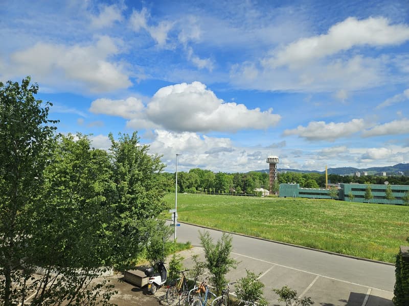 3,5 ZiWohnung stadtnah und grün in Kleinwabern (6)