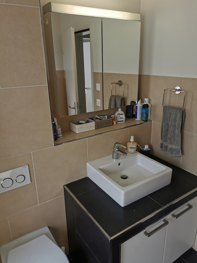 Furnished 3.5-Room Apartment for Sublease in Zurich Schwamendingen-Stettbach (9)
