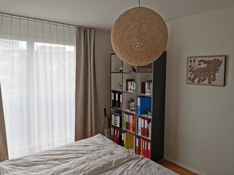 Furnished 3.5-Room Apartment for Sublease in Zurich Schwamendingen-Stettbach (8)