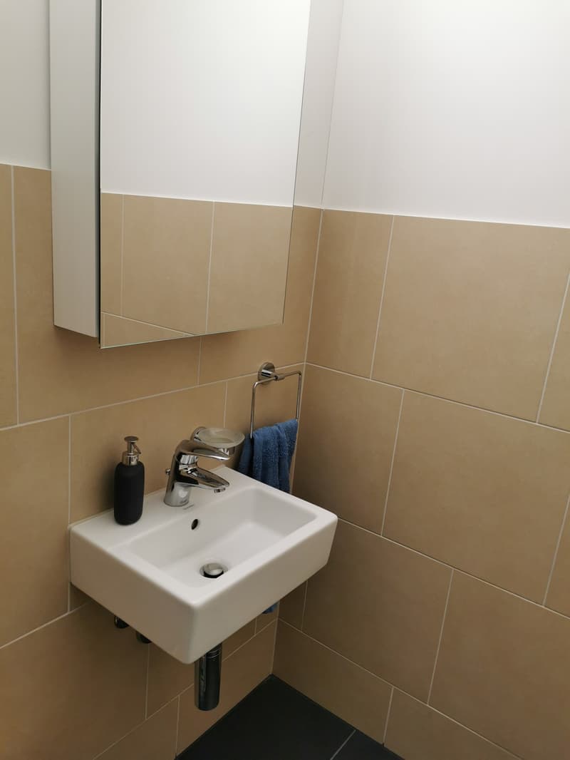 Furnished 3.5-Room Apartment for Sublease in Zurich Schwamendingen-Stettbach (12)