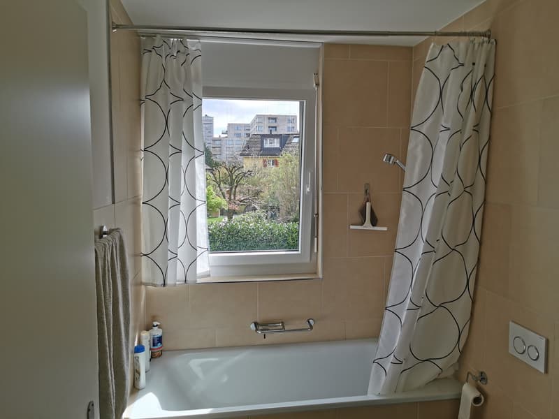 Furnished 3.5-Room Apartment for Sublease in Zurich Schwamendingen-Stettbach (11)