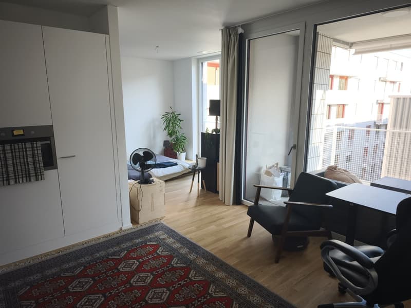 NACHMIETER GESUCHT: Moderne 1,5-Zimmer-Wohnung mit Pilatusblick zur Miete (4)