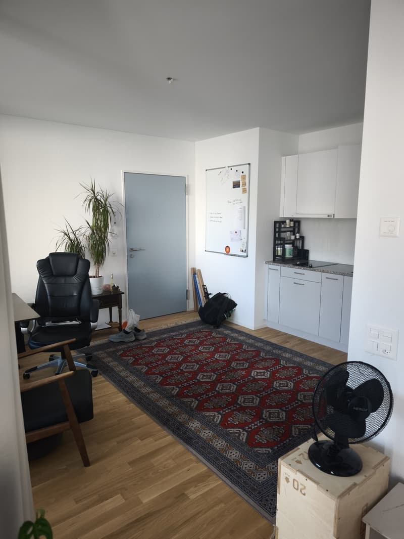 NACHMIETER GESUCHT: Moderne 1,5-Zimmer-Wohnung mit Pilatusblick zur Miete (2)