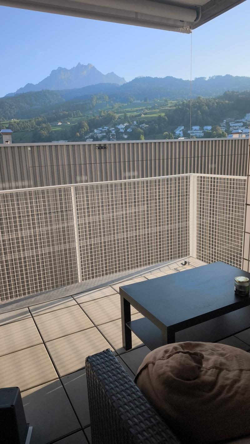 NACHMIETER GESUCHT: Moderne 1,5-Zimmer-Wohnung mit Pilatusblick zur Miete (7)