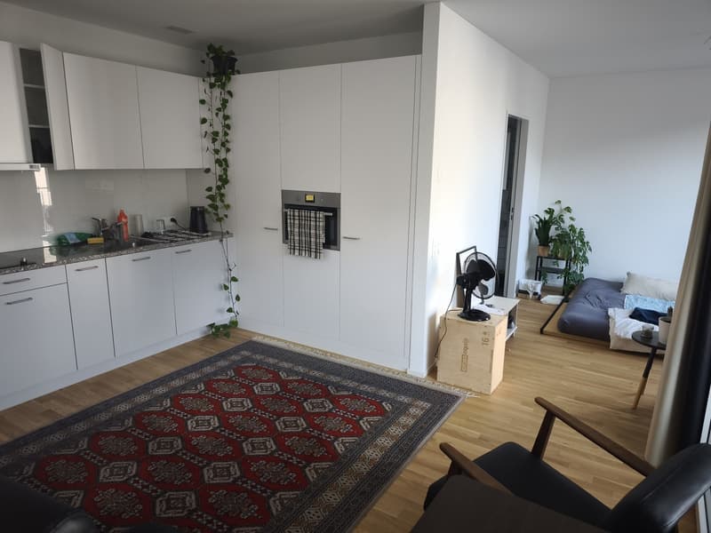 NACHMIETER GESUCHT: Moderne 1,5-Zimmer-Wohnung mit Pilatusblick zur Miete (3)