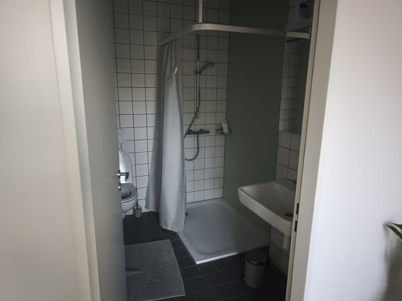 NACHMIETER GESUCHT: Moderne 1,5-Zimmer-Wohnung mit Pilatusblick zur Miete (6)