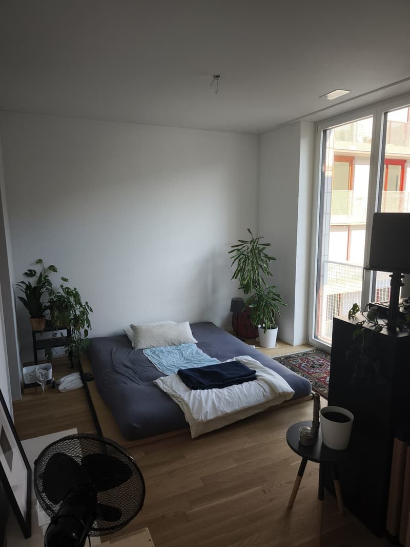 NACHMIETER GESUCHT: Moderne 1,5-Zimmer-Wohnung mit Pilatusblick zur Miete (5)