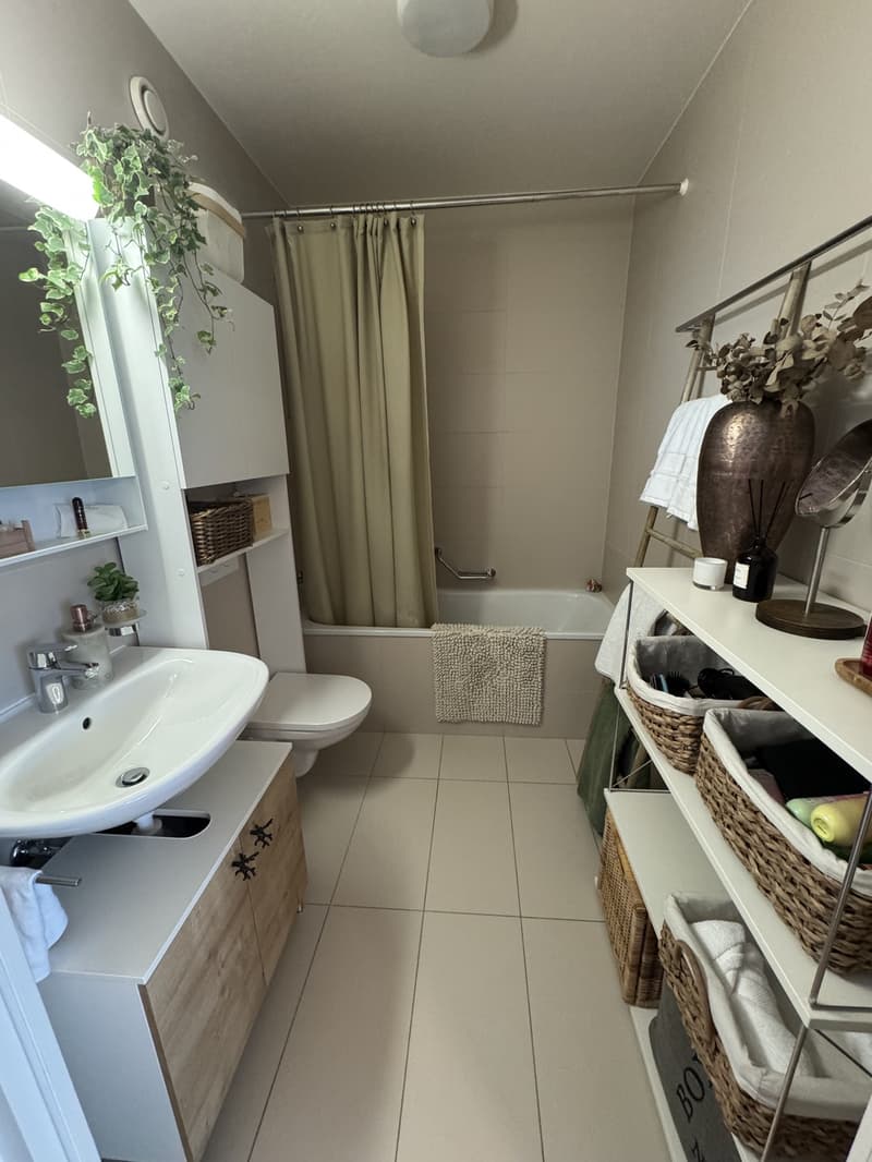 Appartement 3.5pces dans quartier calme avec loggia (6)