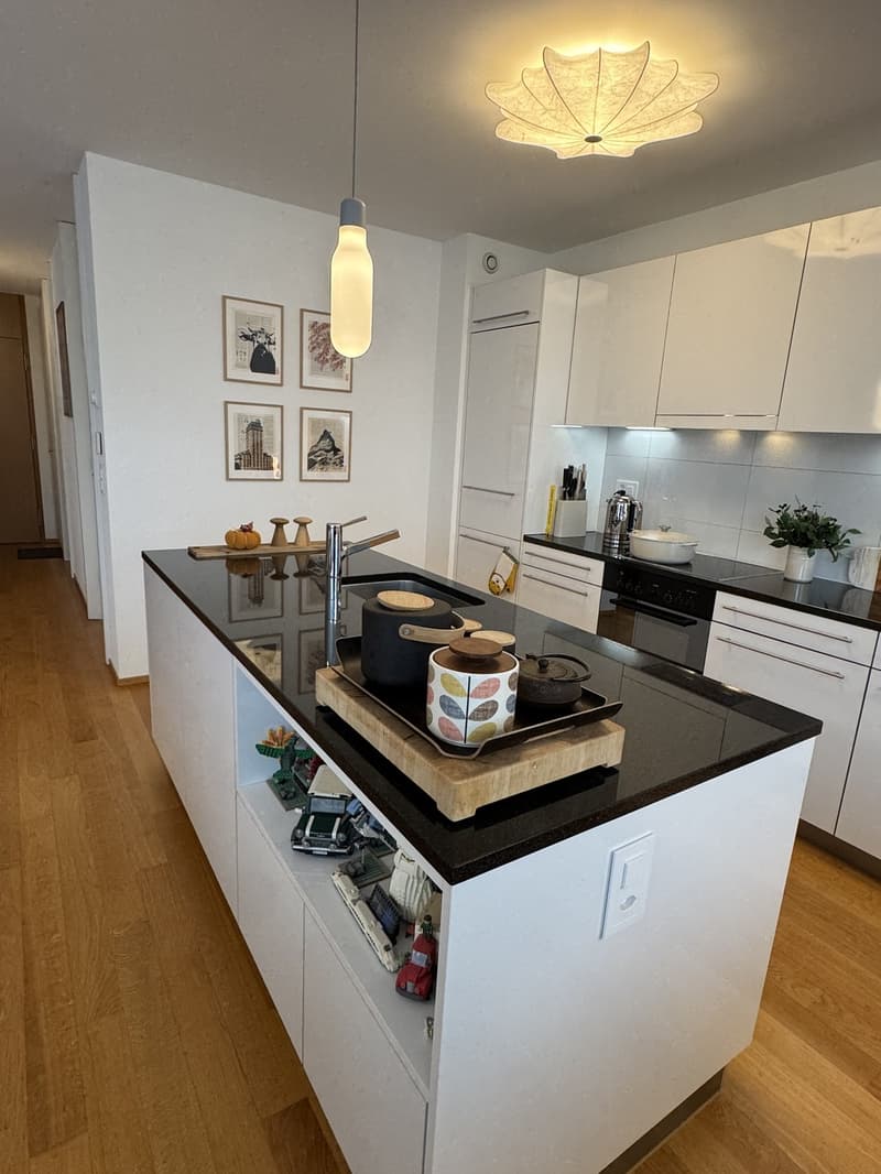 Appartement 3.5pces dans quartier calme avec loggia (3)