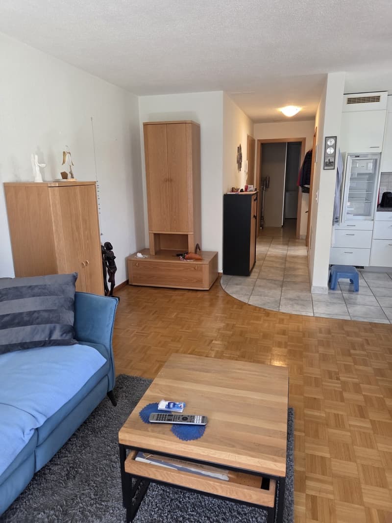 Charmante 2-Zimmer-Wohnung mit grossem Balkon in Bad Zurzach (4)