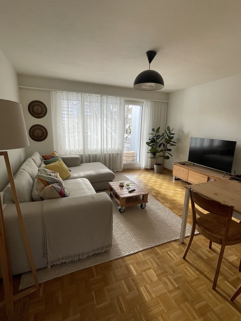 Möbliertes Zimmer in ruhiger WG in Zurich-Wiedikon (befristet) (3)