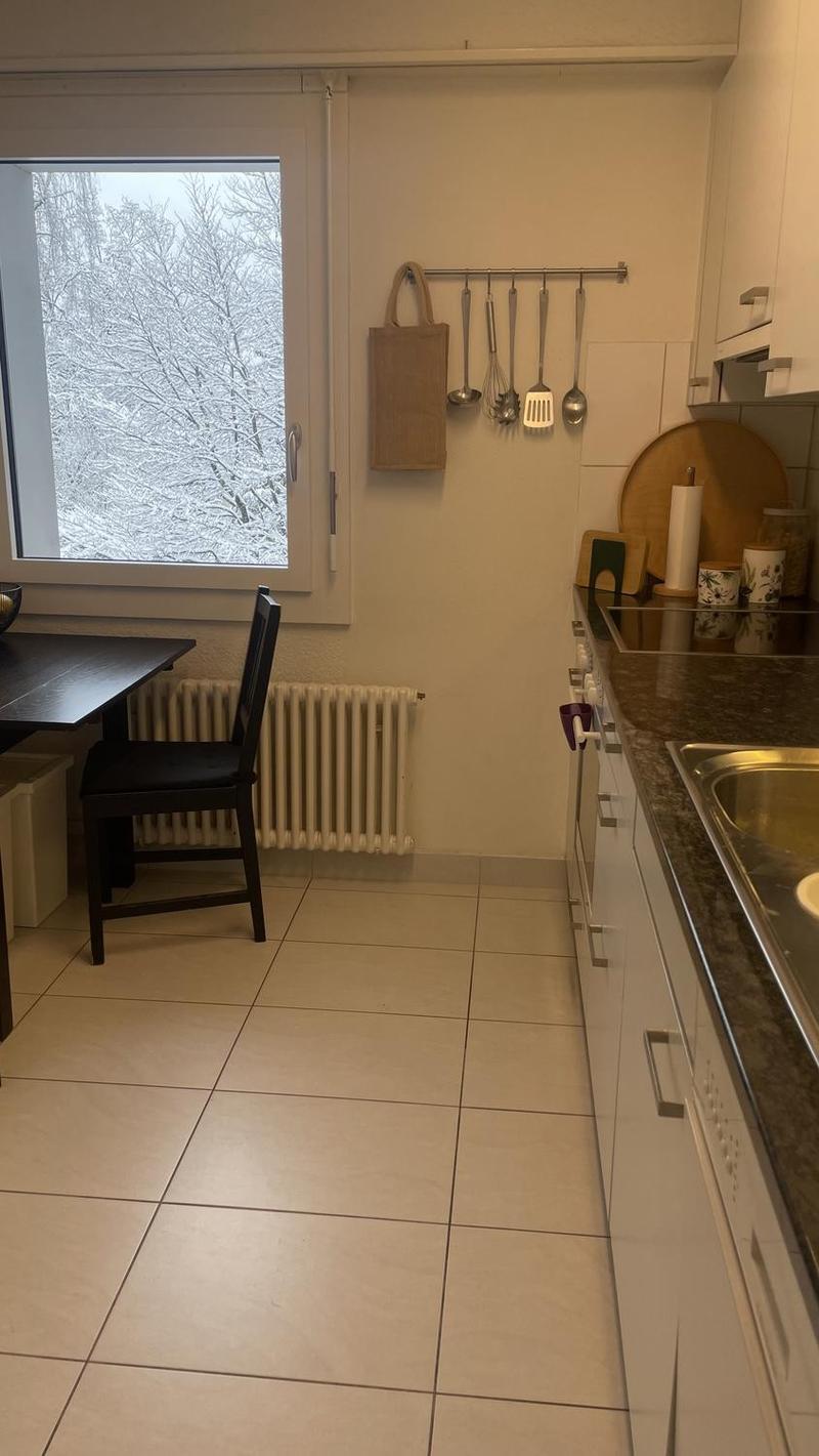 Möbliertes Zimmer in ruhiger WG in Zurich-Wiedikon (befristet) (5)