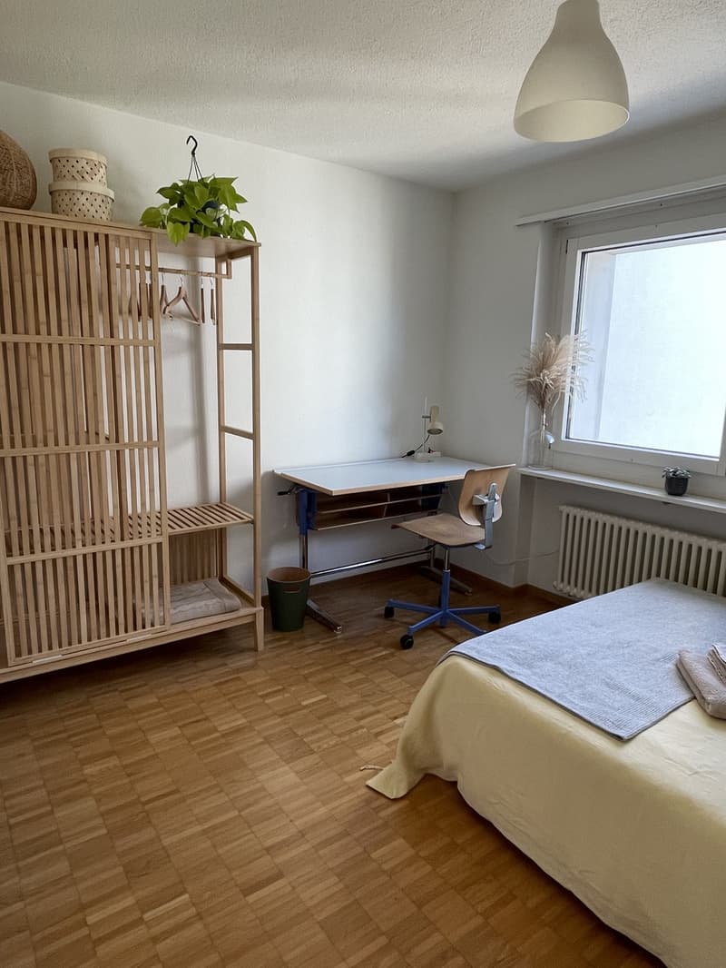 Möbliertes Zimmer in ruhiger WG in Zurich-Wiedikon (befristet) (2)