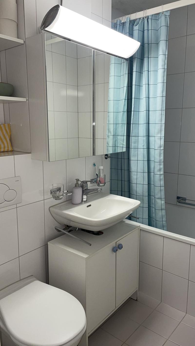 Möbliertes Zimmer in ruhiger WG in Zurich-Wiedikon (befristet) (4)