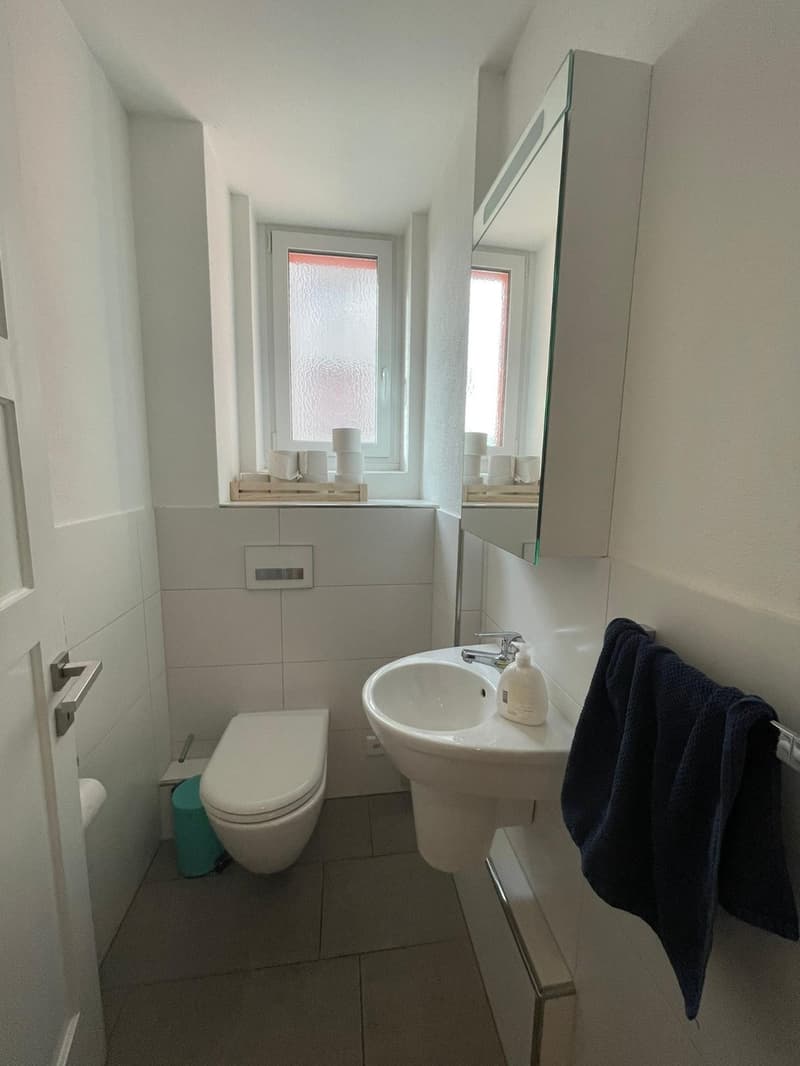 Bright furnished room at Kreuzplatz - move-in ready (7)