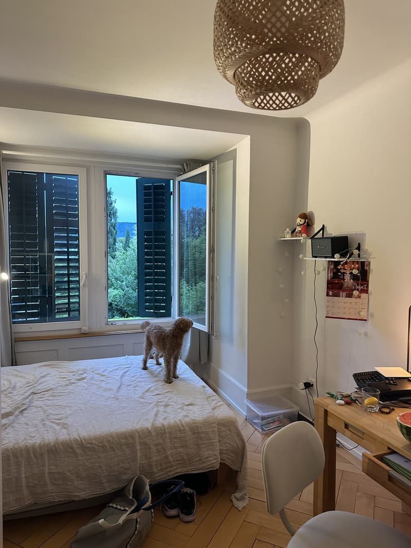 Bright furnished room at Kreuzplatz - move-in ready (9)