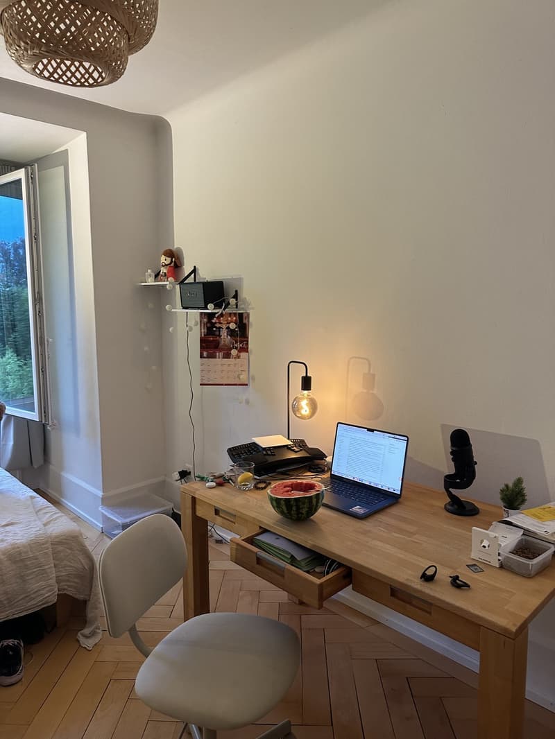 Bright furnished room at Kreuzplatz - move-in ready (10)