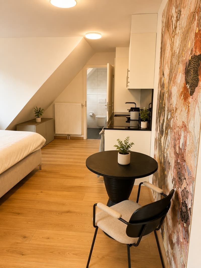 Penthouse studio with AIRCON (2)