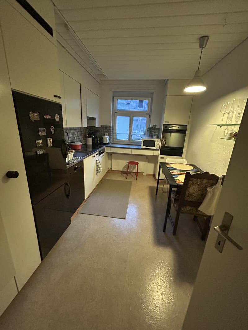 Nice Room in Wiedikon a 2-person apartment (2)