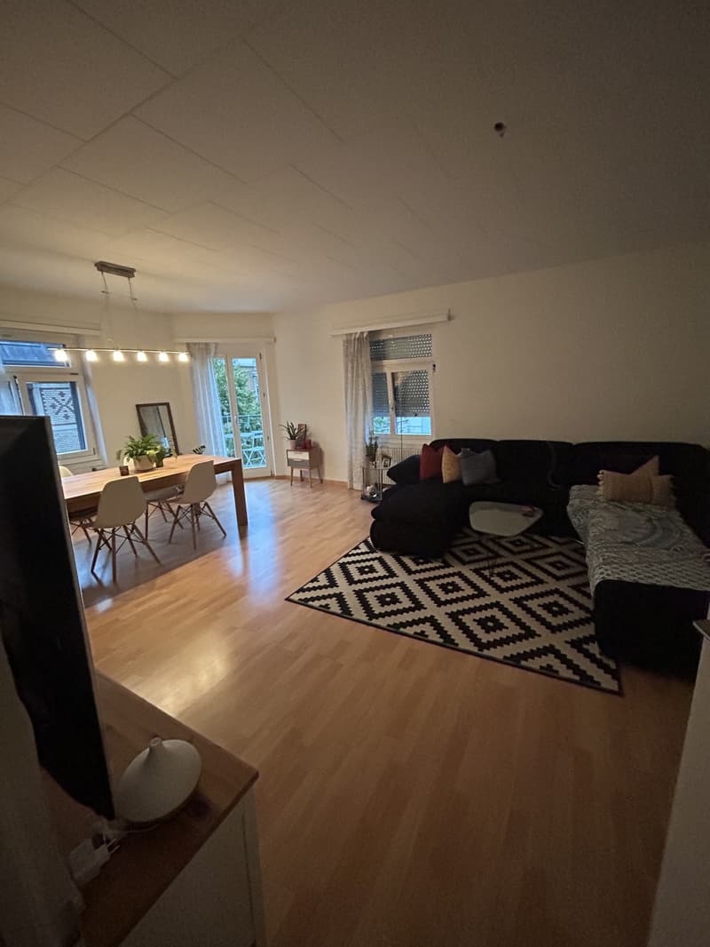 Nice Room in Wiedikon a 2-person apartment (3)