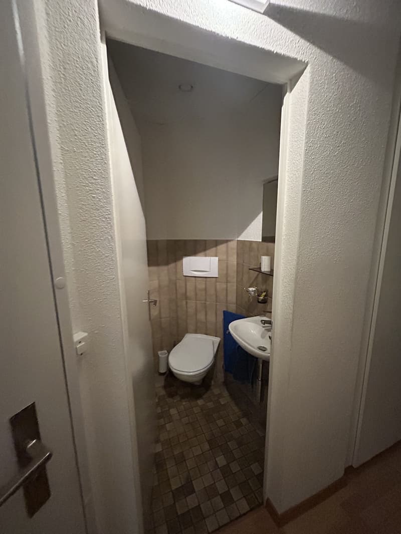 Nice Room in Wiedikon a 2-person apartment (4)
