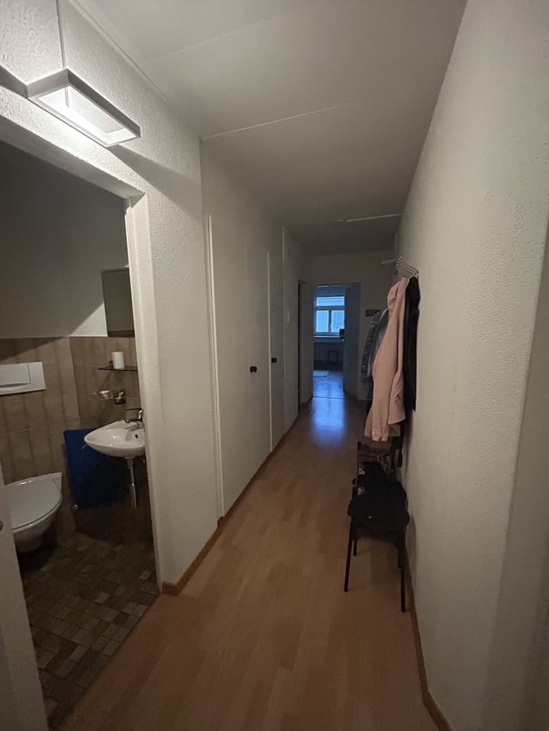 Nice Room in Wiedikon a 2-person apartment (5)