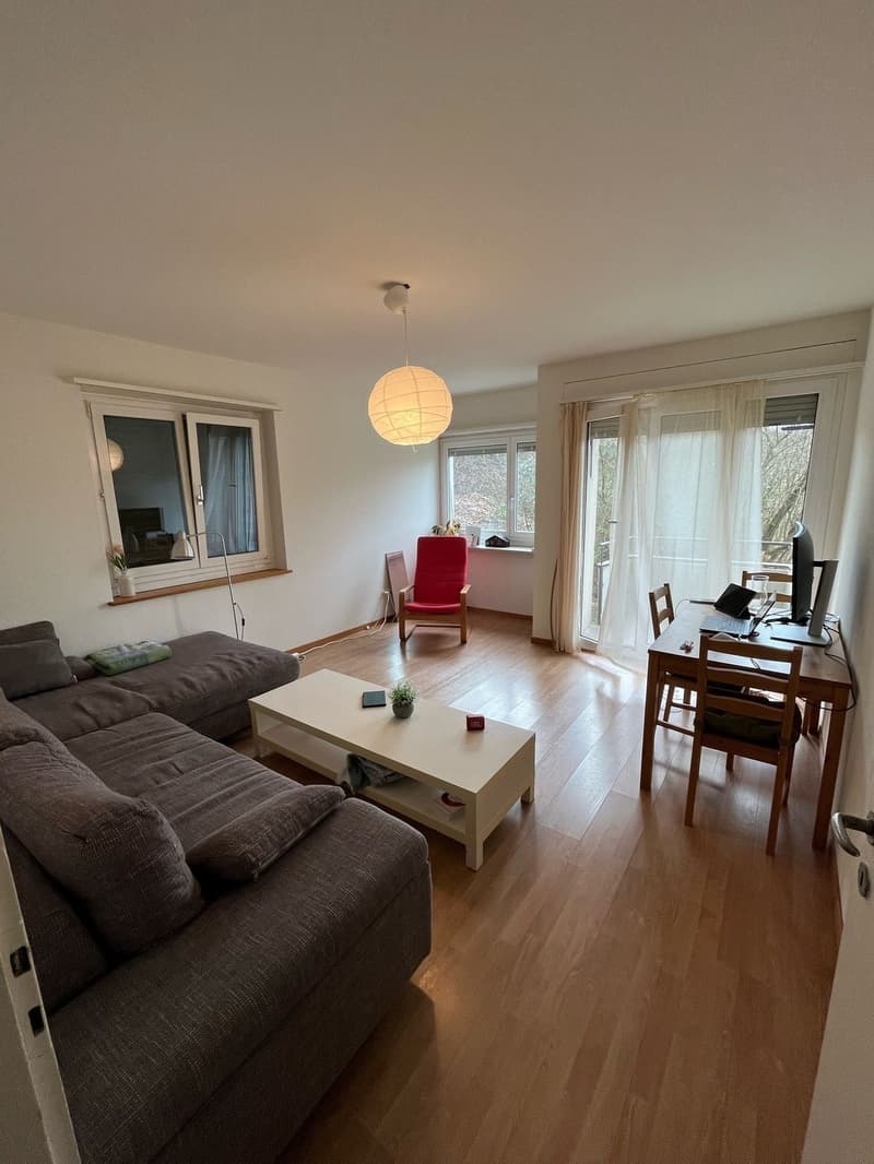 Big room in a shared 2.5 apartment Zurich (Irchel/Oerlikon) (2)