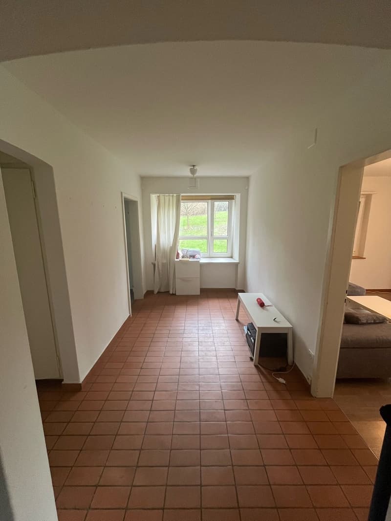 Big room in a shared 2.5 apartment Zurich (Irchel/Oerlikon) (4)