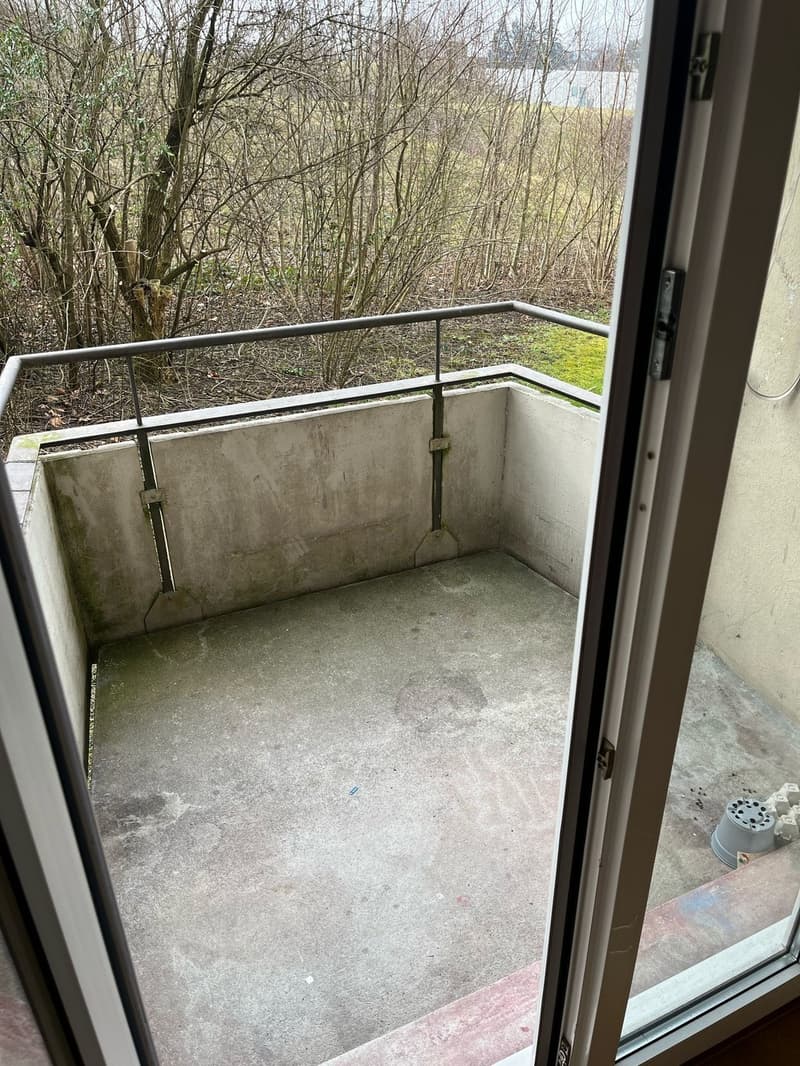 Big room in a shared 2.5 apartment Zurich (Irchel/Oerlikon) (6)