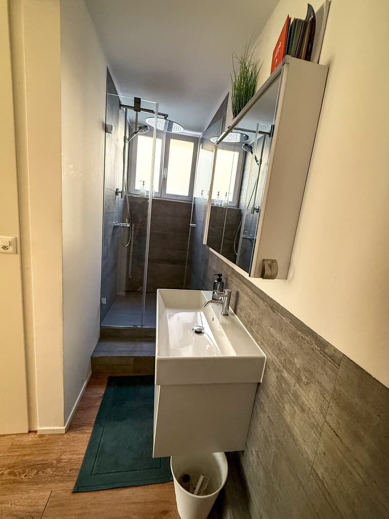 Möbliertes WG-Zimmer zur Zwischenmiete in Zürich Wiedikon (4)