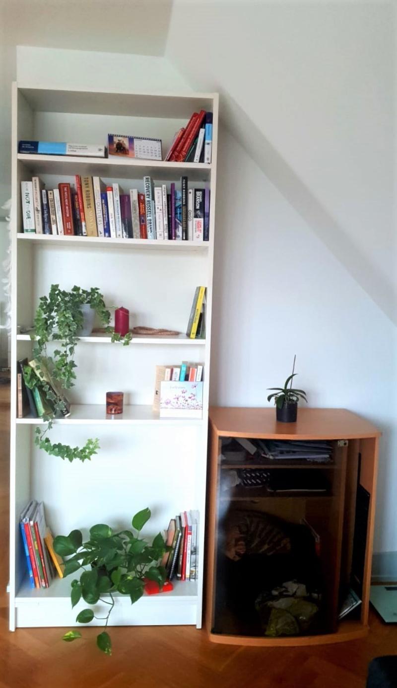 Befristet - Sonnige 2,5 Zimmer Wohnung im Kreis 6 - Temporary - Sunny 2.5 Room Flat in District 6 (4)