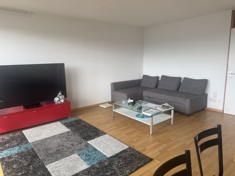 3.5-Furnished Apartment for Rent for 2 years (2)