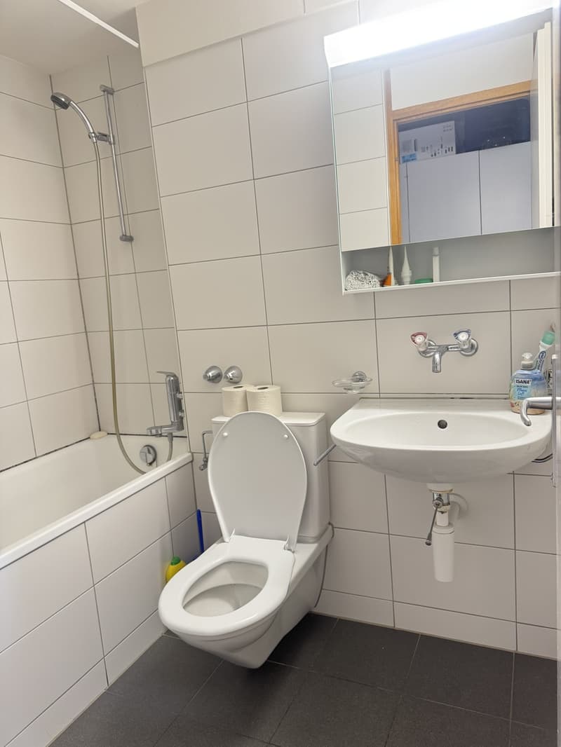 3.5-Furnished Apartment for Rent for 2 years (5)