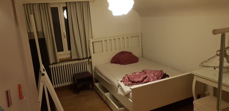 Mitbevonerin gesucht (1)