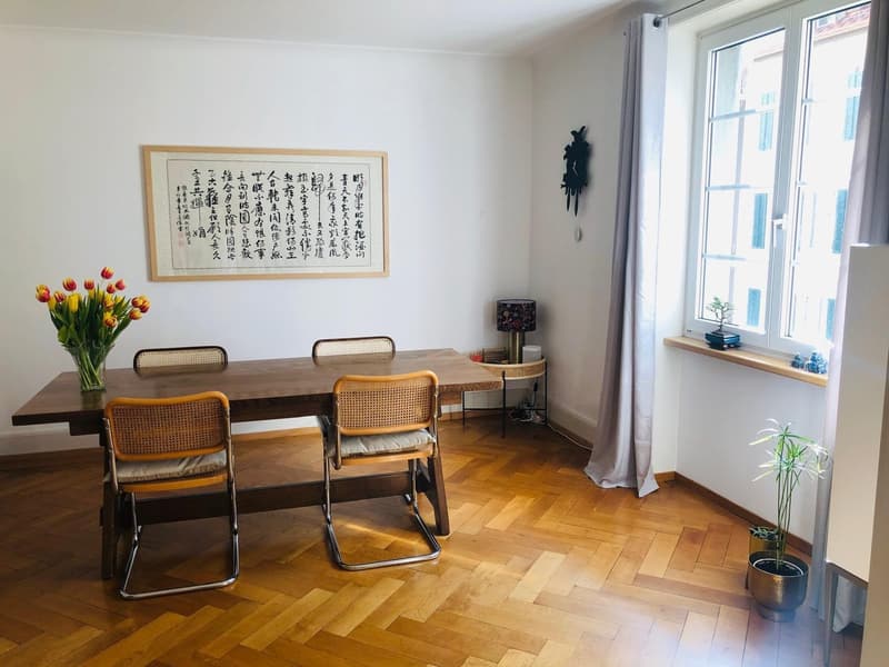 Furnished Room in Spacious Flatshare  Central Zurich (Kreis 6) (4)