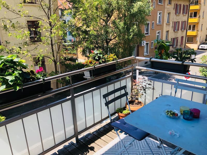 Furnished Room in Spacious Flatshare  Central Zurich (Kreis 6) (2)