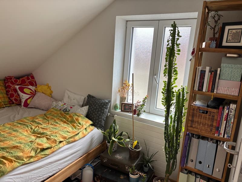 Möblierte Wohnung zur Untermiete/Sublet (1. Oktober 2026 bis 31. Dezember 2026) 3 months (3)