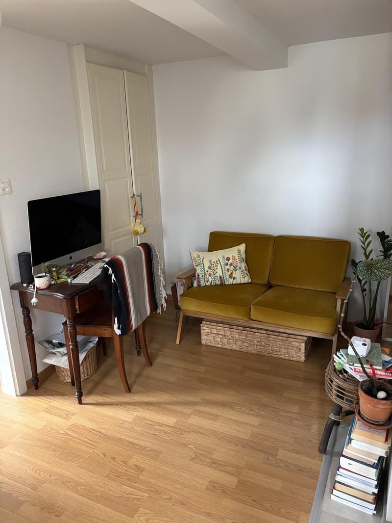 Möblierte Wohnung zur Untermiete/Sublet (1. Oktober 2026 bis 31. Dezember 2026) 3 months (2)